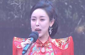 2024中国明星春节联欢晚会【第二篇章】总导演罗崇明