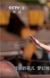 焉硕 秀外慧中 楚楚动人